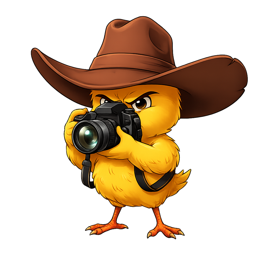 Pintinho fotógrafo